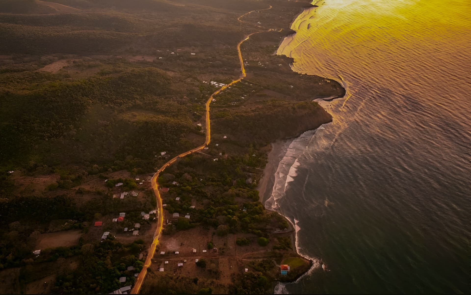 Surf city 2