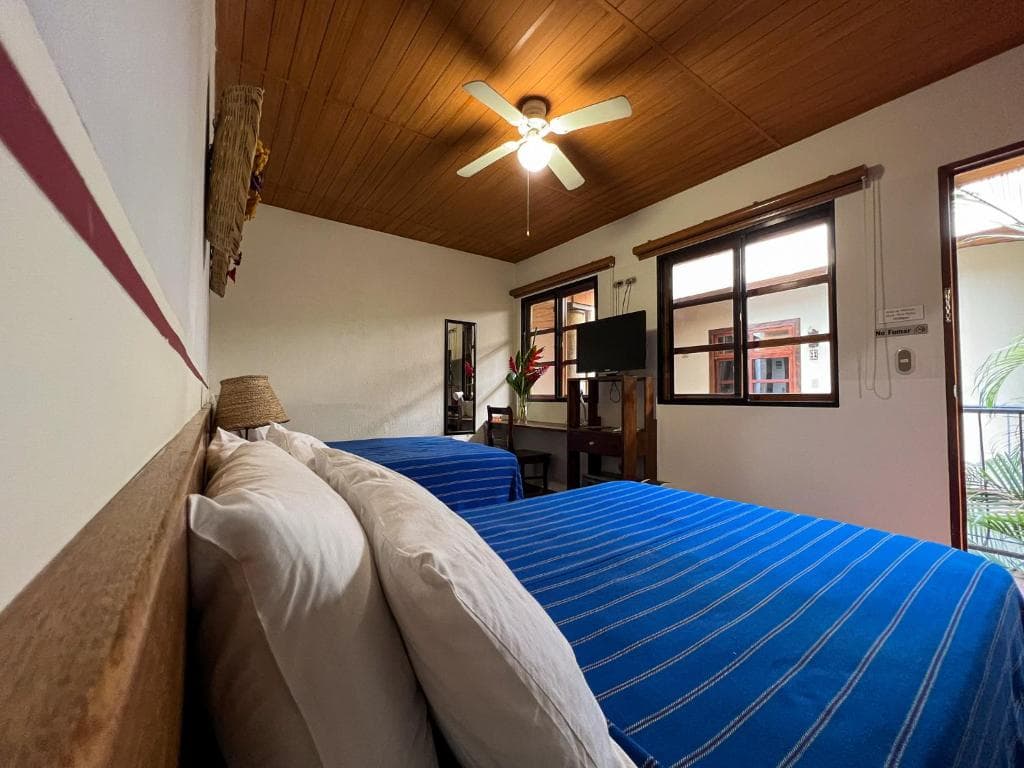 Eco Hotel Árbol de Fuego - imagen 4