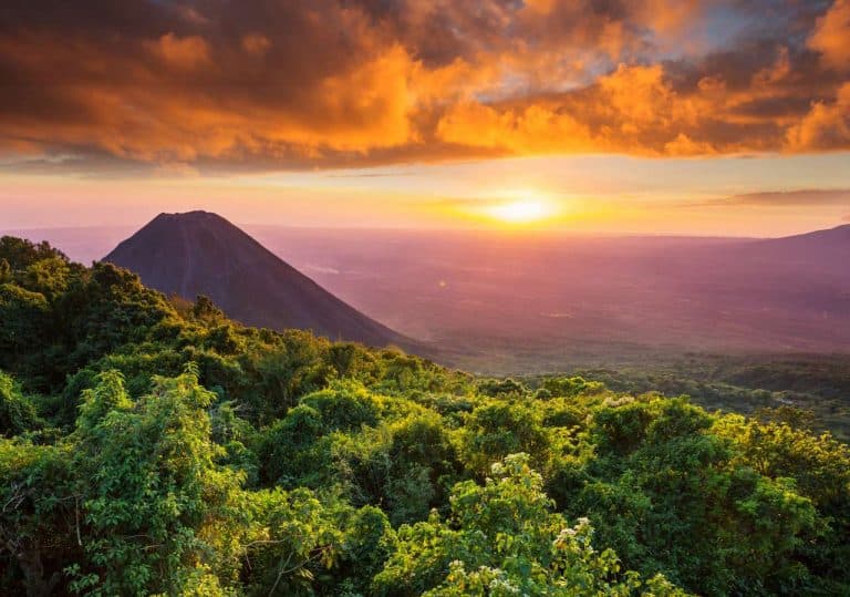 Cerro Verde & Ruta del Café - imagen 3