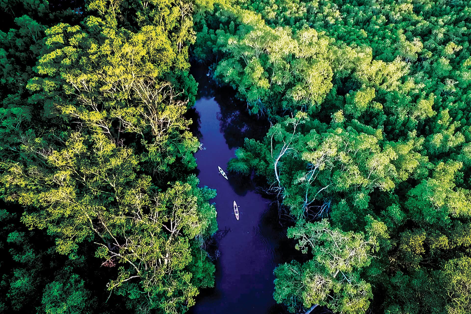 Bahía de Jiquilisco
