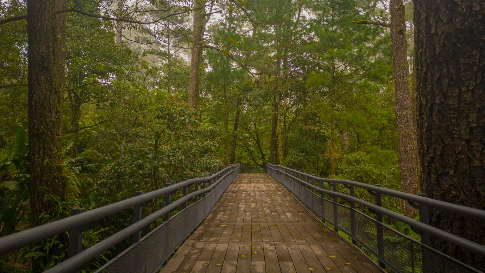 El boquerón - imagen 4