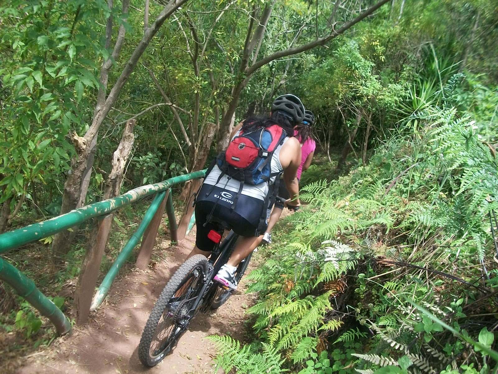 Bici montaña - imagen 3