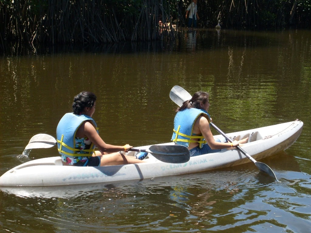 Kayak en Bosque de Mangle - imagen 2