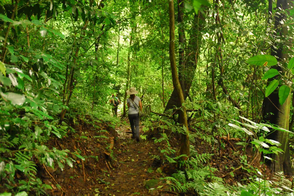Parque Nacional El Imposible - imagen 3