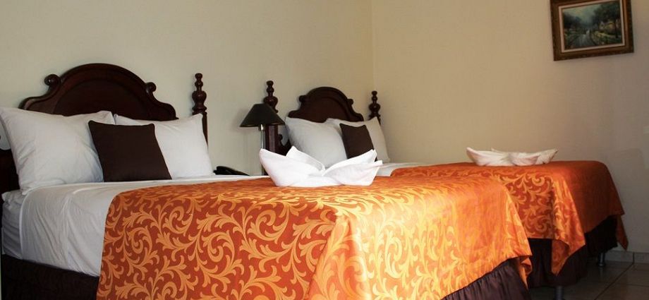 Hotel Villa Florencia San Benito - imagen 3