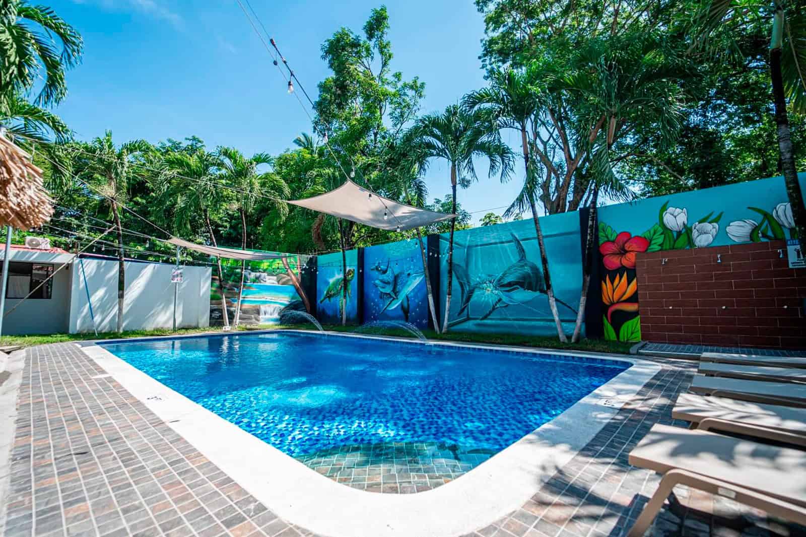 Mi Tierra - imagen 2