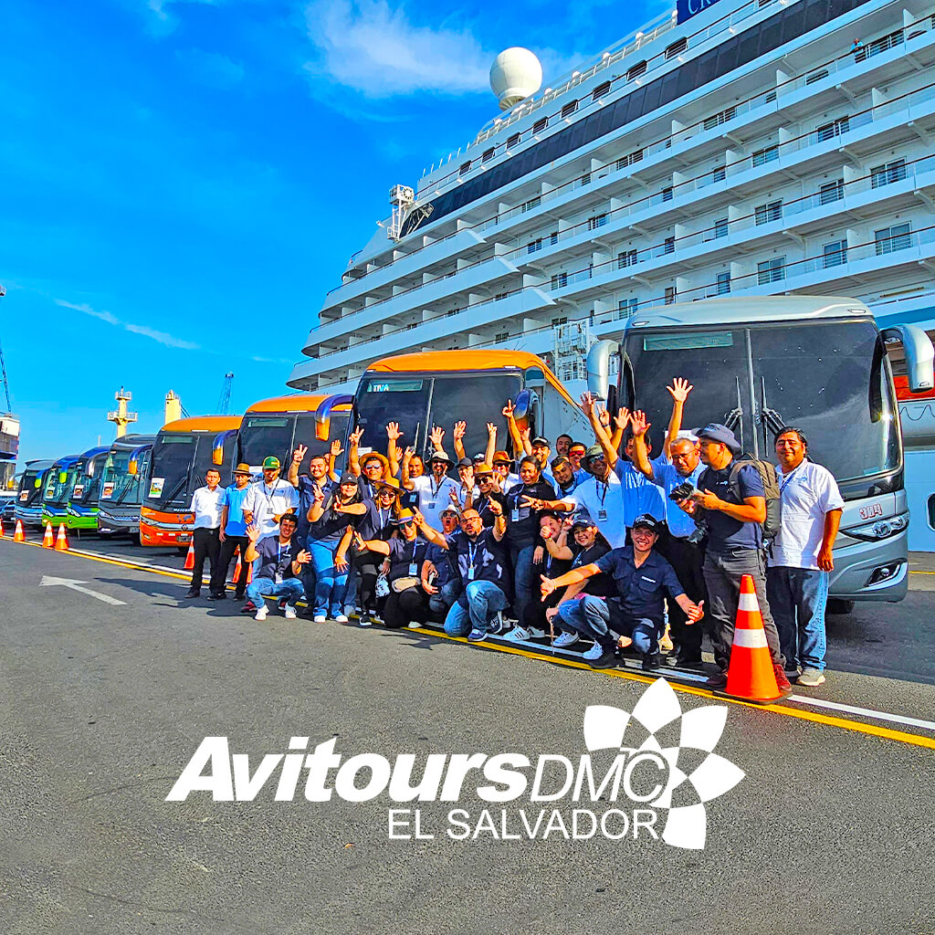 Historia de AVITOURS